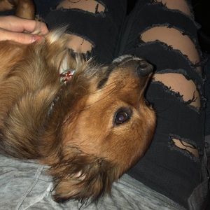 Meet your Posher, Lilly